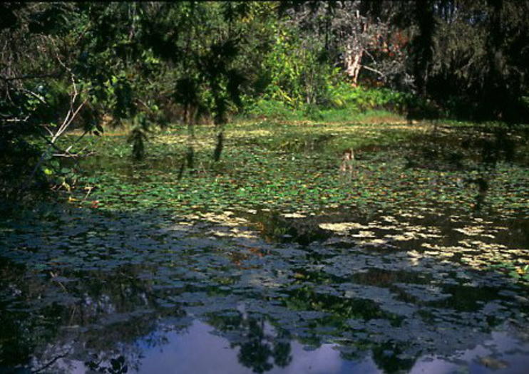 Rand Nature Centre